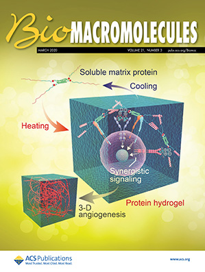 showCoverImage (5)