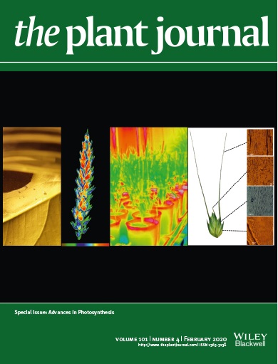 tpj_v101_i4_issueinfo.indd