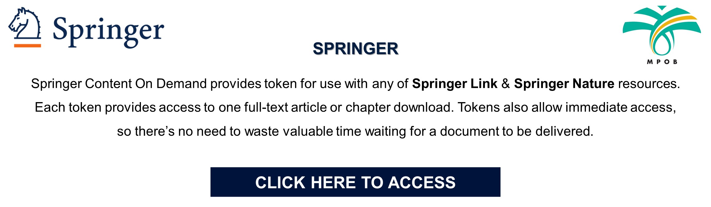 SPRINGER BANNER SLIDER